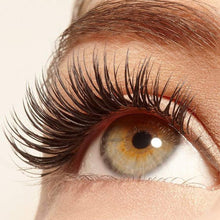 Load image into Gallery viewer, Phoera Eyelash And Brow Serum 3ml