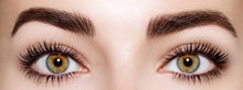 Load image into Gallery viewer, PHOERA 9D High Definition Mascara