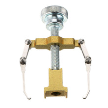 Load image into Gallery viewer, Ingrown Toenail Corrector