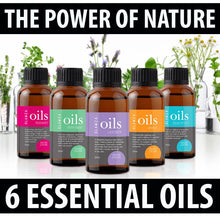 Load image into Gallery viewer, Glamza Premium Essential Oils